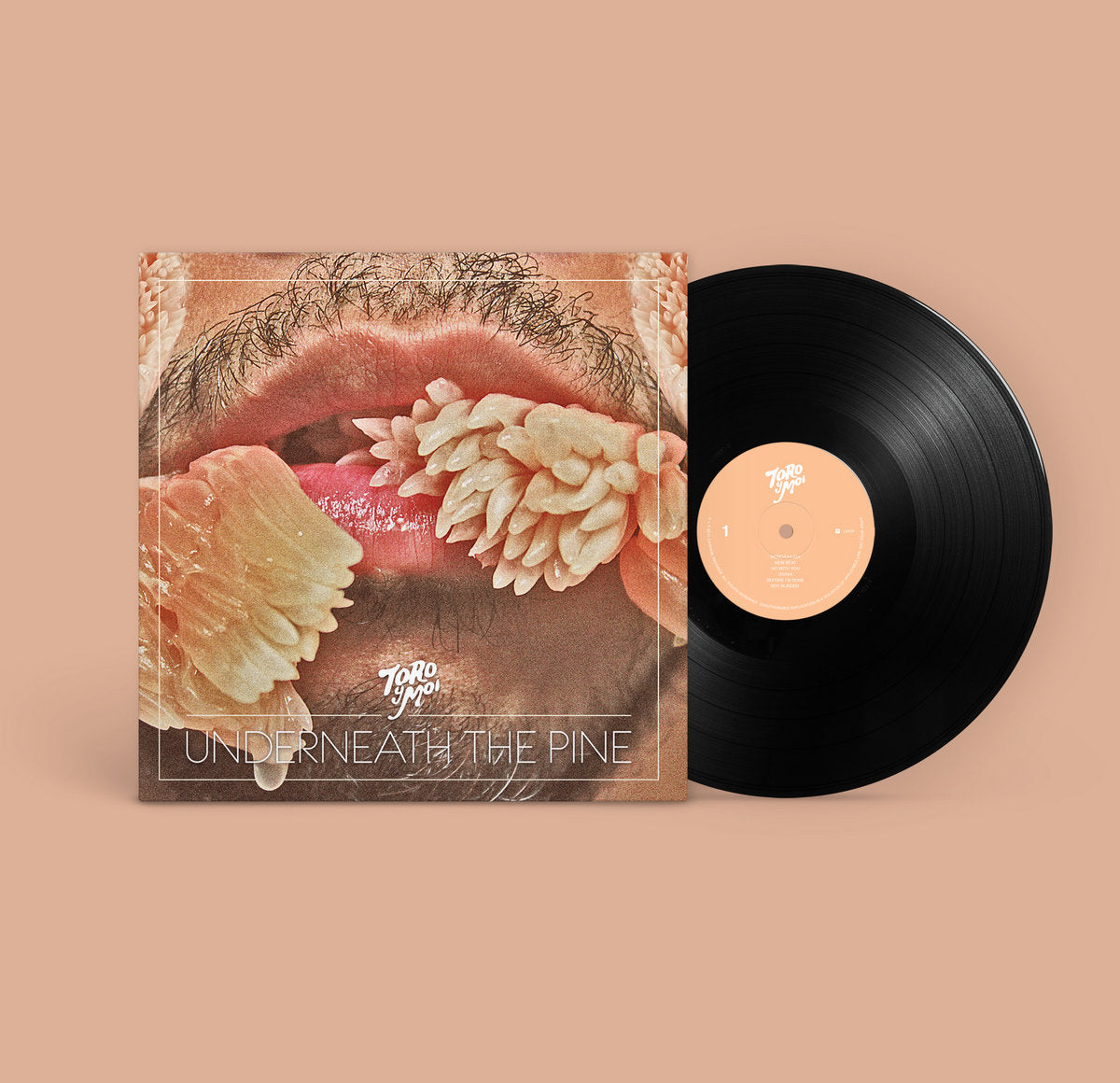 Toro & Moi – Underneath The Pine