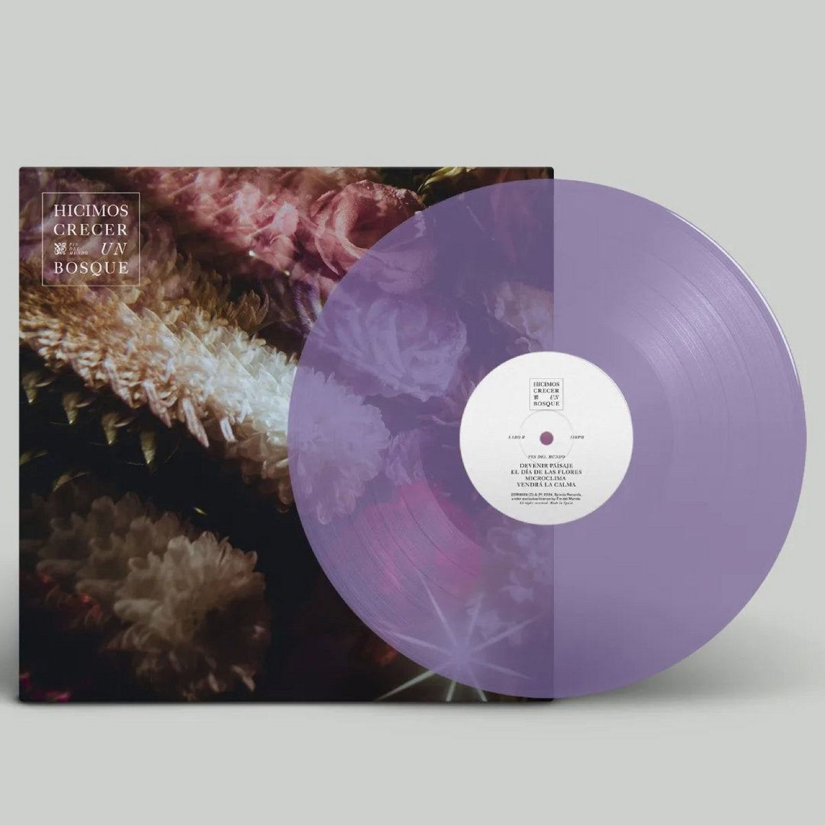 Fin del Mundo - Hicimos Crecer un Bosque