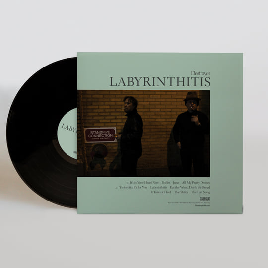 Destroyer - Labyrinthitis