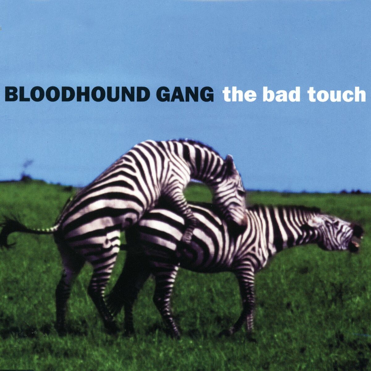 Bloodhound Gang - The Bad Touch (Single)