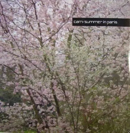 DJ Cam, Anggun - Summer in Paris