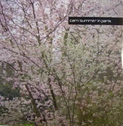 DJ Cam, Anggun - Summer in Paris