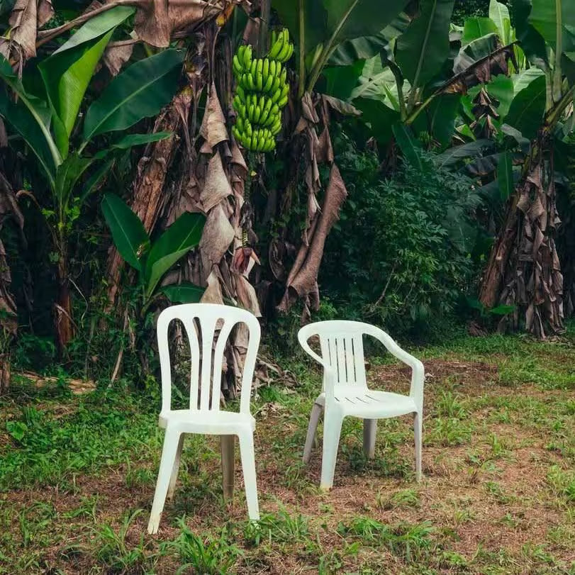 Bad Bunny - Debi Tirar Más Fotos