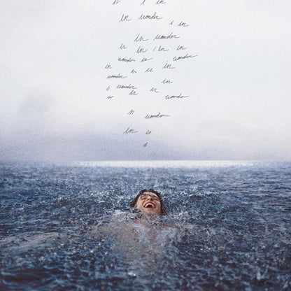 Shawn Mendes - Wonder
