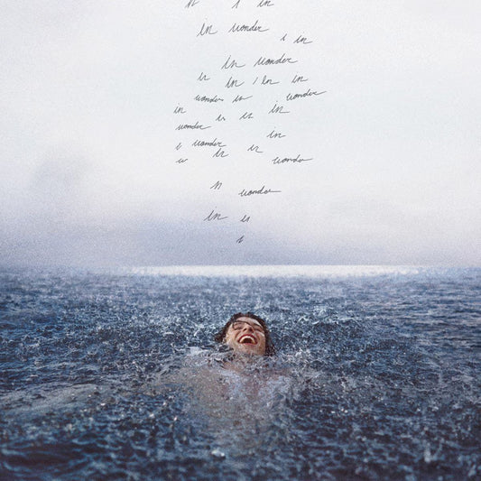 Shawn Mendes - Wonder