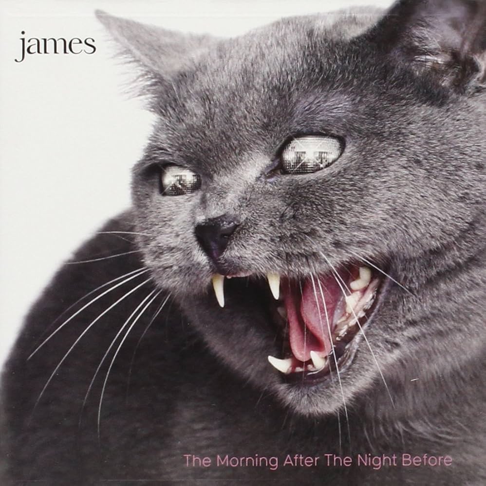 James - The Morning After, The Night Before