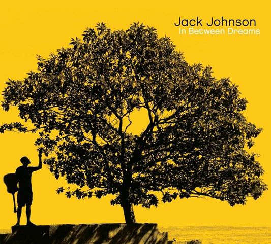 Jack Johnson In Between Dreams