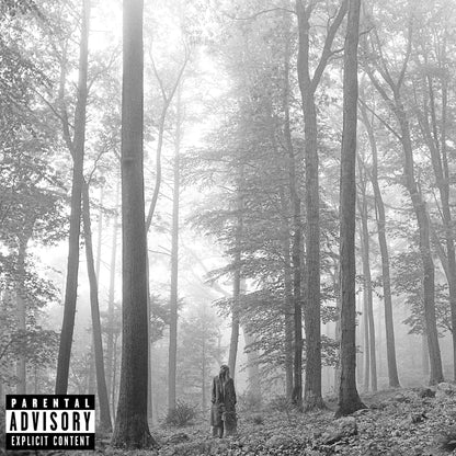 Taylor Swift - Folklore "In the Trees"