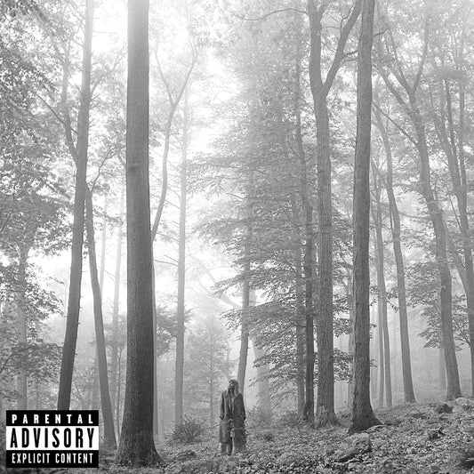 Taylor Swift - Folklore "In the Trees"