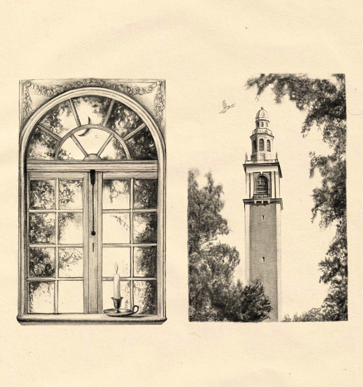 Lucy Dacus - Bus Back to Richmond/More Than Friends - Exclusive 7" Vinyl