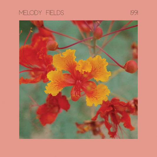 Melody Fields - 1991