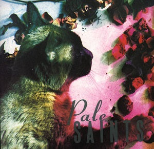 Pale Saints - The Comforts of Madness
