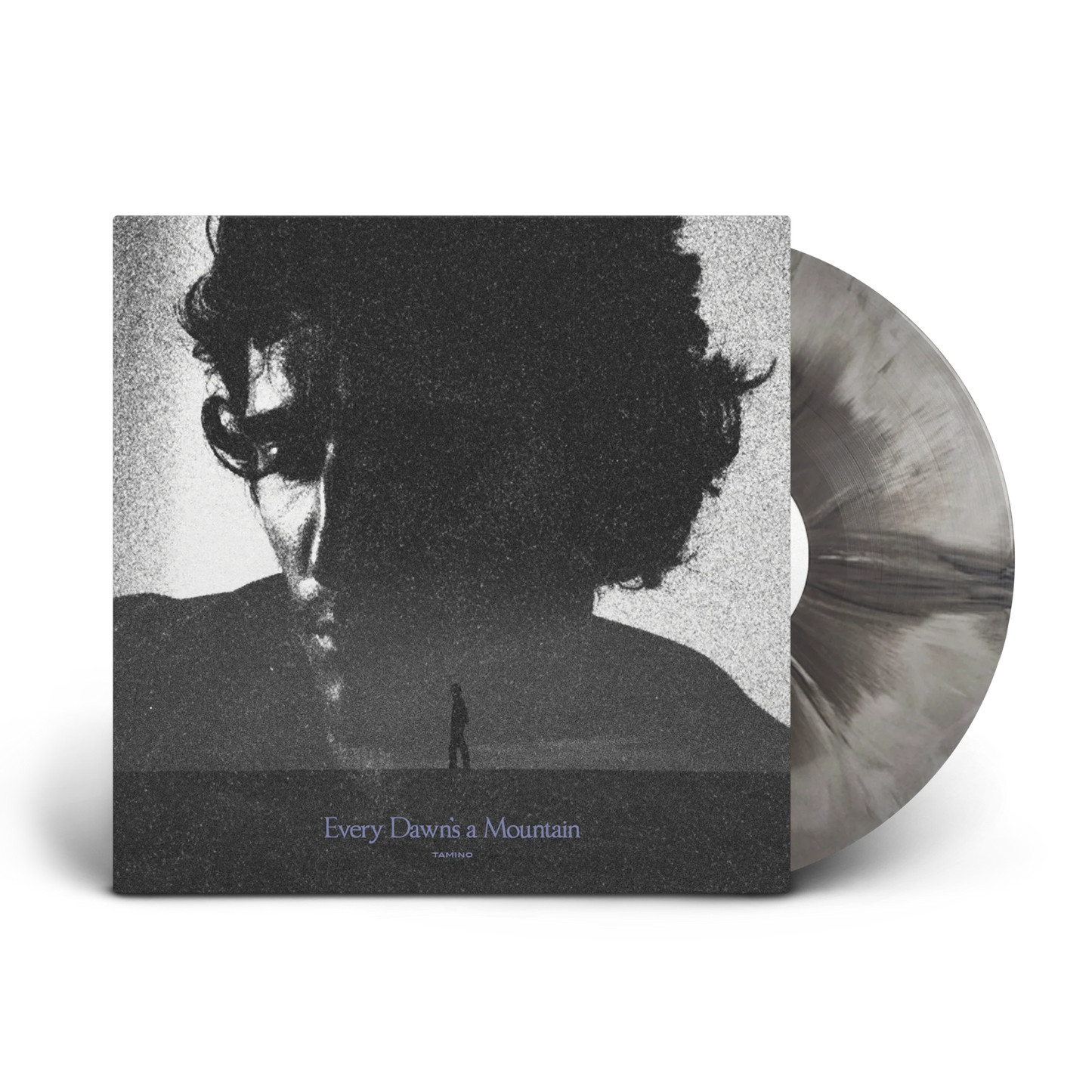 Tamino - Every Dawn's a Mountain
