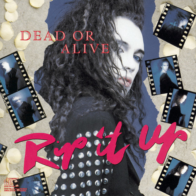 Dead Or Alive - Rip It Up
