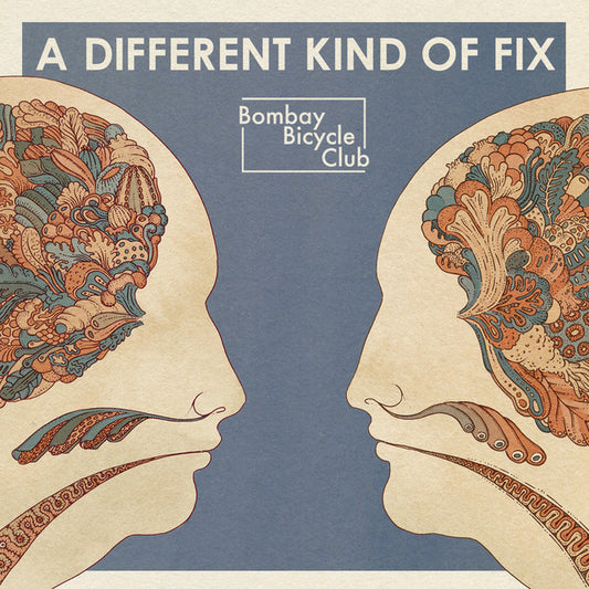 Bombay Bicycle Club - Different Kind Of Fix