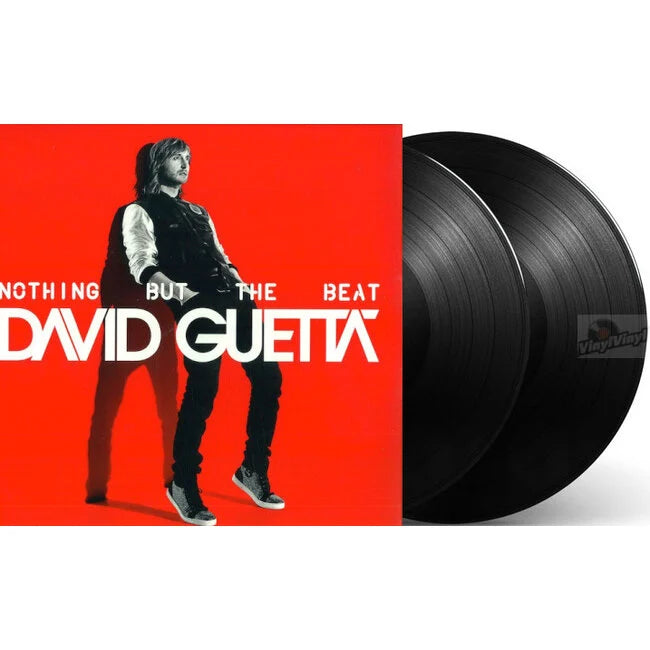 David Guetta - Nothing But the Beat