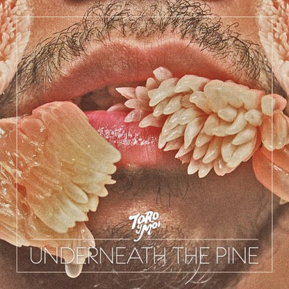 Toro & Moi – Underneath The Pine